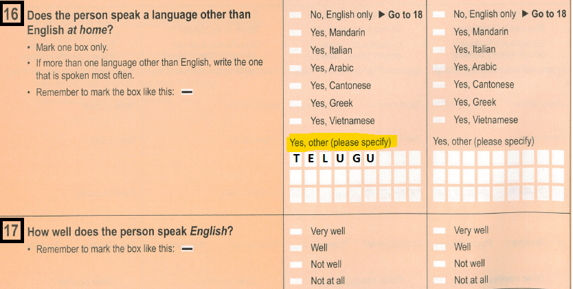 Select Telugu Language spoken at home on the census form